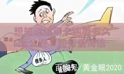 想知道信用卡逾期多久怎么查：如何查询信用卡逾期记录和具体时间？