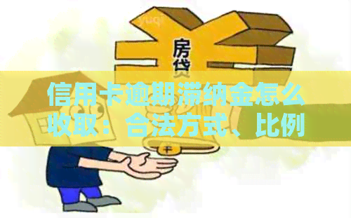 信用卡逾期滞纳金怎么收取：合法方式、比例、时间及相关问题解答