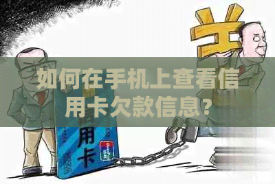 如何在手机上查看信用卡欠款信息？