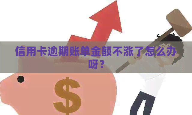 信用卡逾期账单金额不涨了怎么办呀？