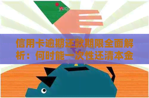 信用卡逾期还款期限全面解析：何时能一次性还清本金？