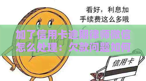 加了信用卡逾期律师微信怎么处理：欠款问题如何应对律师微信提醒？