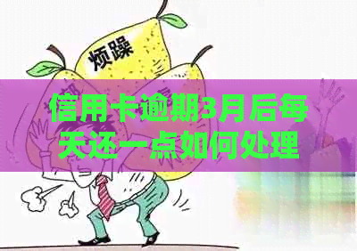 信用卡逾期3月后每天还一点如何处理及利息计算方法