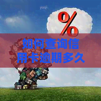 如何查询信用卡逾期多久了记录明细？