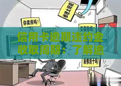 信用卡逾期违约金收取周期：了解逾期还款的具体时间和费用计算方法