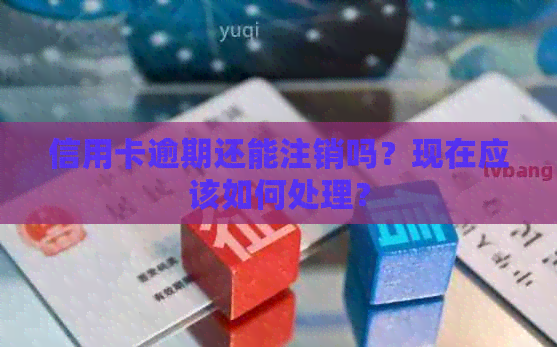 信用卡逾期还能注销吗？现在应该如何处理？