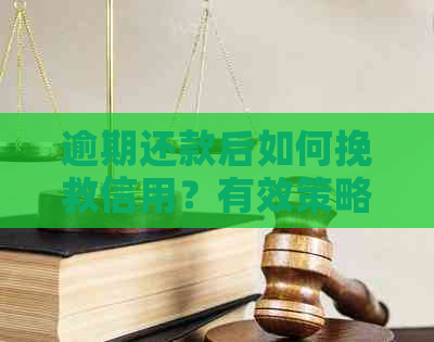 逾期还款后如何挽救信用？有效策略和建议