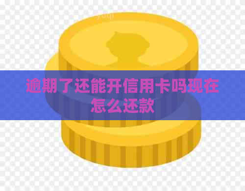 逾期了还能开信用卡吗现在怎么还款