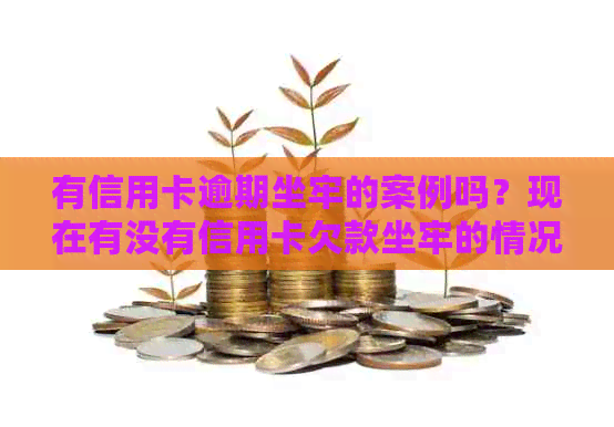 有信用卡逾期坐牢的案例吗？现在有没有信用卡欠款坐牢的情况？