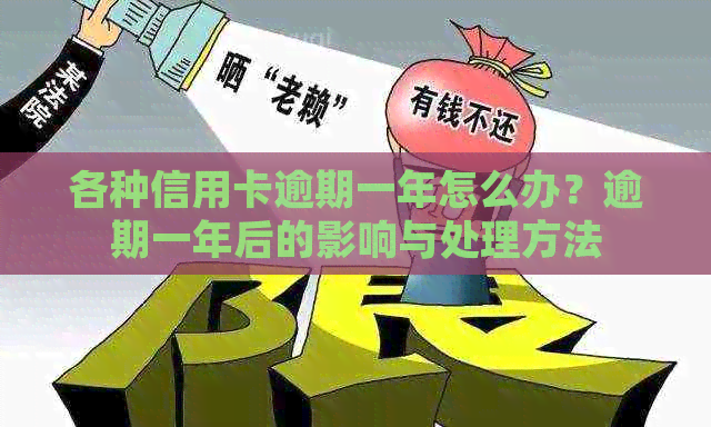 各种信用卡逾期一年怎么办？逾期一年后的影响与处理方法