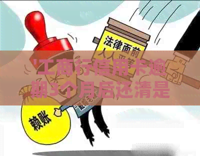 '工商行信用卡逾期3个月后还清是否会被起诉：解冻策略与分期政策'