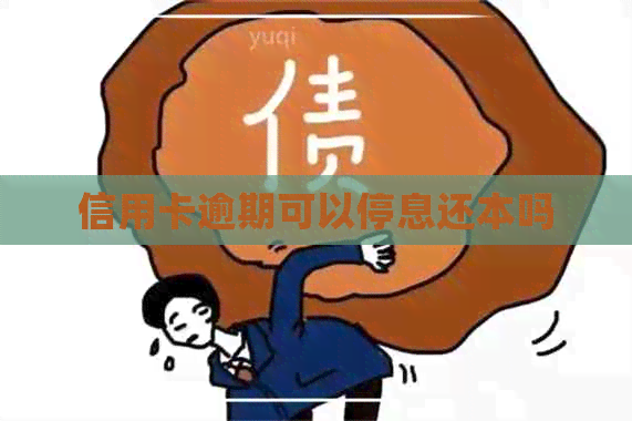 信用卡逾期可以停息还本吗