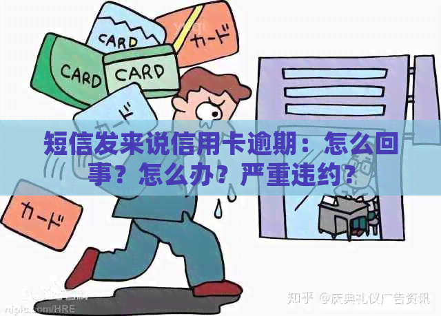 短信发来说信用卡逾期：怎么回事？怎么办？严重违约？