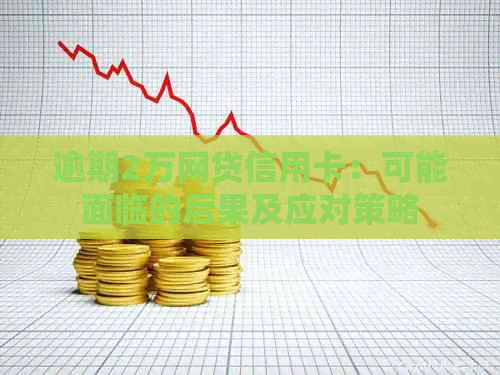 逾期2万网贷信用卡：可能面临的后果及应对策略