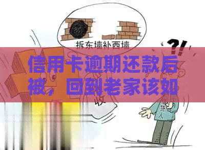 信用卡逾期还款后被，回到老家该如何应对？这里有解决方案！