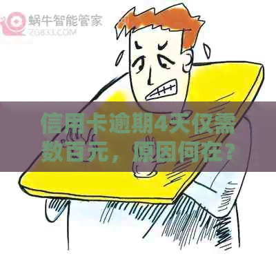 信用卡逾期4天仅需数百元，原因何在？