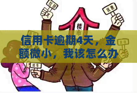 信用卡逾期4天，金额微小，我该怎么办？完整解决方案和应对策略