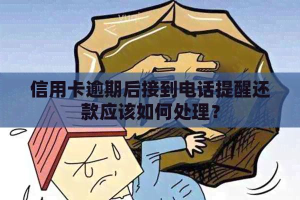 信用卡逾期后接到电话提醒还款应该如何处理？