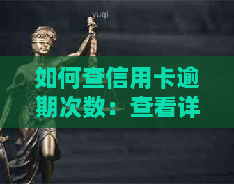 如何查信用卡逾期次数：查看详细记录与明细，解决逾期问题。