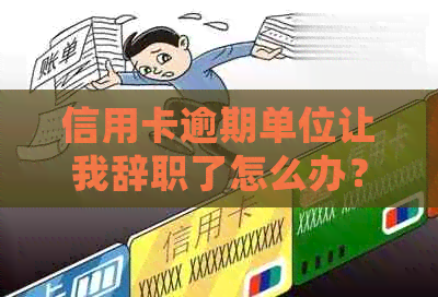 信用卡逾期单位让我辞职了怎么办？有影响吗？如何处理？