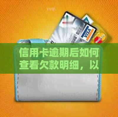 信用卡逾期后如何查看欠款明细，以及相关策略和建议