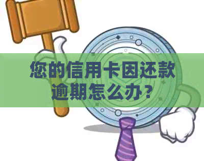 您的信用卡因还款逾期怎么办？