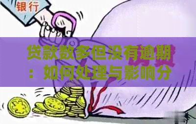 贷款数多但没有逾期：如何处理与影响分析