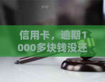 信用卡，逾期1000多块钱没还会怎么样：逾期费、利息和黑名单影响全解析