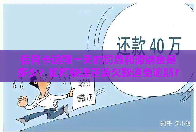 信用卡逾期一天的罚息和滞纳金是多少？如何快速还清欠款避免逾期？