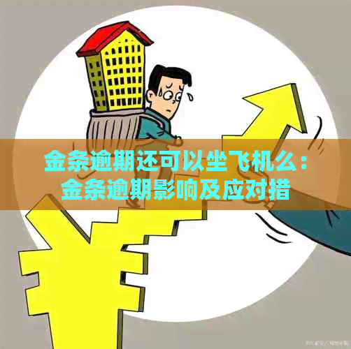 金条逾期还可以坐飞机么：金条逾期影响及应对措