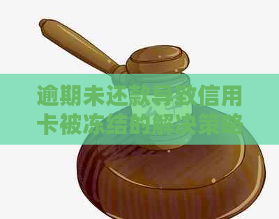 逾期未还款导致信用卡被冻结的解决策略和影响分析