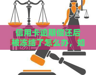 信用卡逾期偿还后被冻结了怎么办，如何解冻和处理？