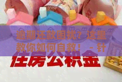 逾期还款困扰？这里教你如何自救！ - 针对信用卡逾期的自救策略与建议