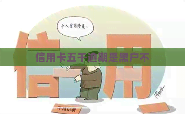 信用卡五千逾期是黑户不