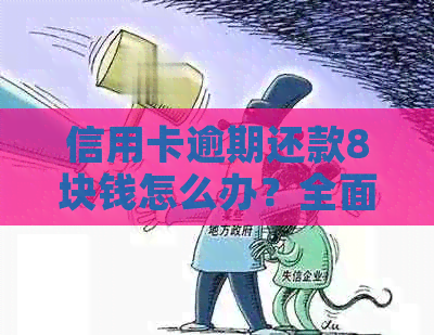 信用卡逾期还款8块钱怎么办？全面解决用户搜索的疑问