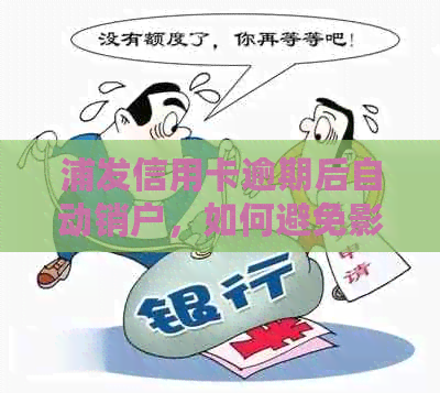 浦发信用卡逾期后自动销户，如何避免影响个人信用？