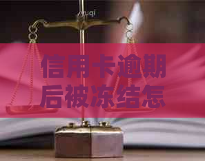 信用卡逾期后被冻结怎么办？解冻步骤及预防措全面解析