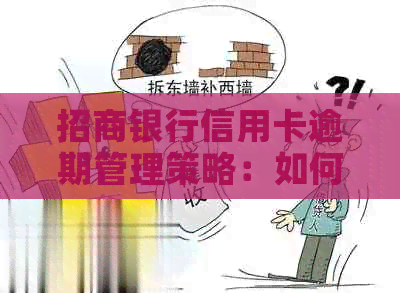 招商银行信用卡逾期管理策略：如何降低影响和避免罚息