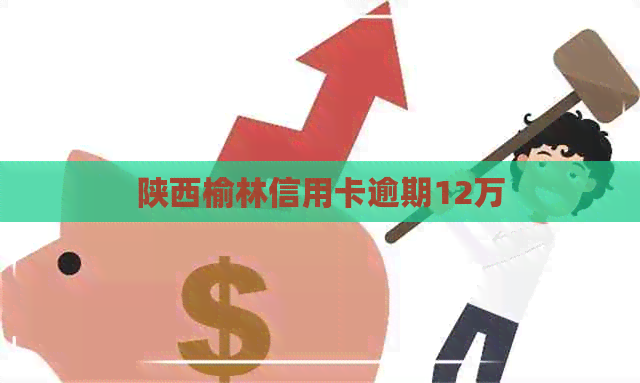 陕西榆林信用卡逾期12万