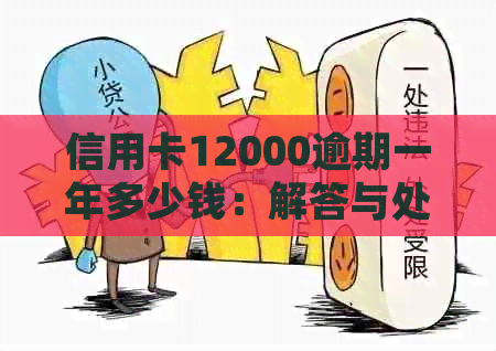 信用卡12000逾期一年多少钱：解答与处理建议