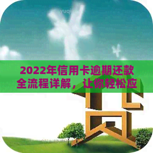 2022年信用卡逾期还款全流程详解，让你轻松应对逾期问题！