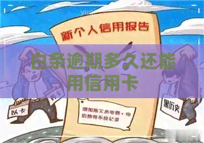 白条逾期多久还能用信用卡