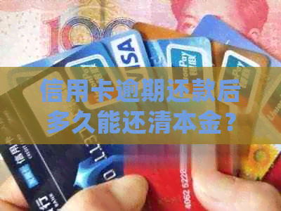 信用卡逾期还款后多久能还清本金？了解详细处理时间及影响因素