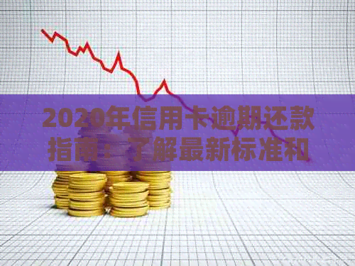 2020年信用卡逾期还款指南：了解最新标准和应对策略