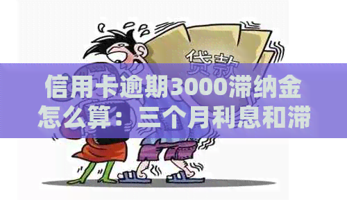 信用卡逾期3000滞纳金怎么算：三个月利息和滞纳金详细计算方式