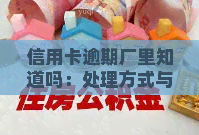 信用卡逾期厂里知道吗：处理方式与影响