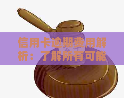 信用卡逾期费用解析：了解所有可能产生的费用及其影响，以及如何避免逾期