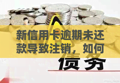 新信用卡逾期未还款导致注销，如何恢复信用并重新申请信用卡？