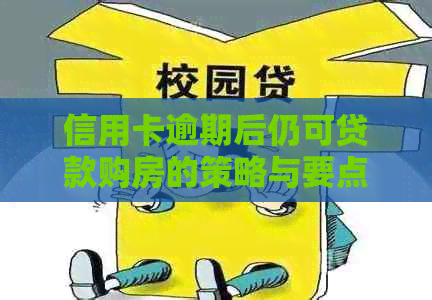 信用卡逾期后仍可贷款购房的策略与要点分析