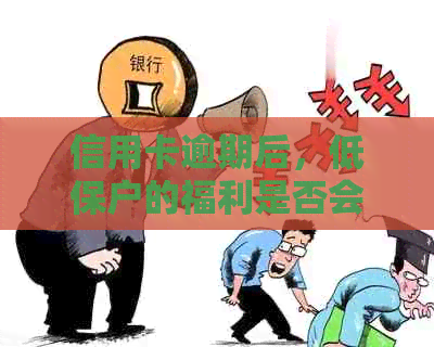 信用卡逾期后，低保户的福利是否会受到影响？